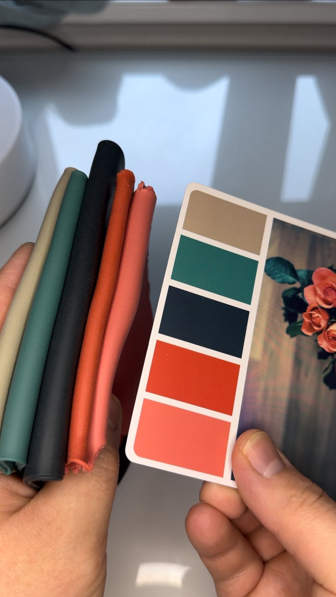 Beachy Coast Color Palette - ClaybyMO